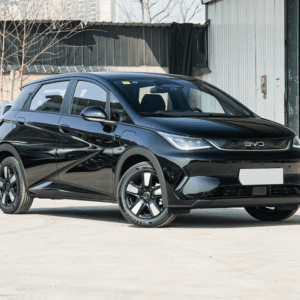 2025 BYD Dolphin