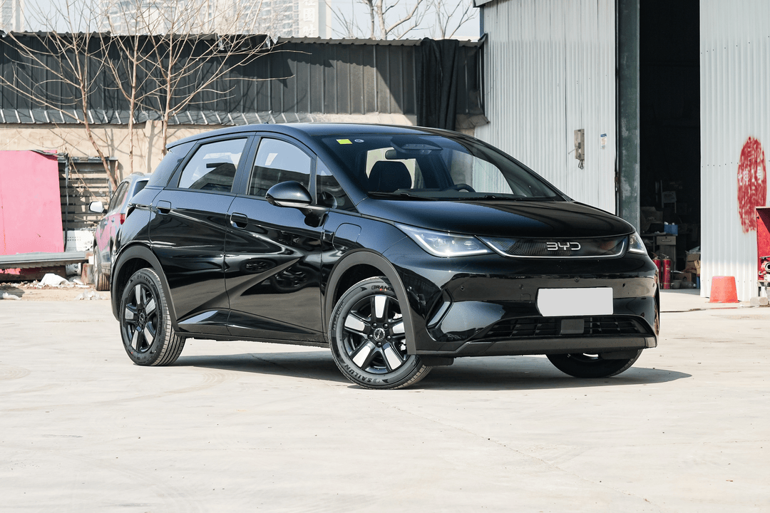2025 BYD Dolphin