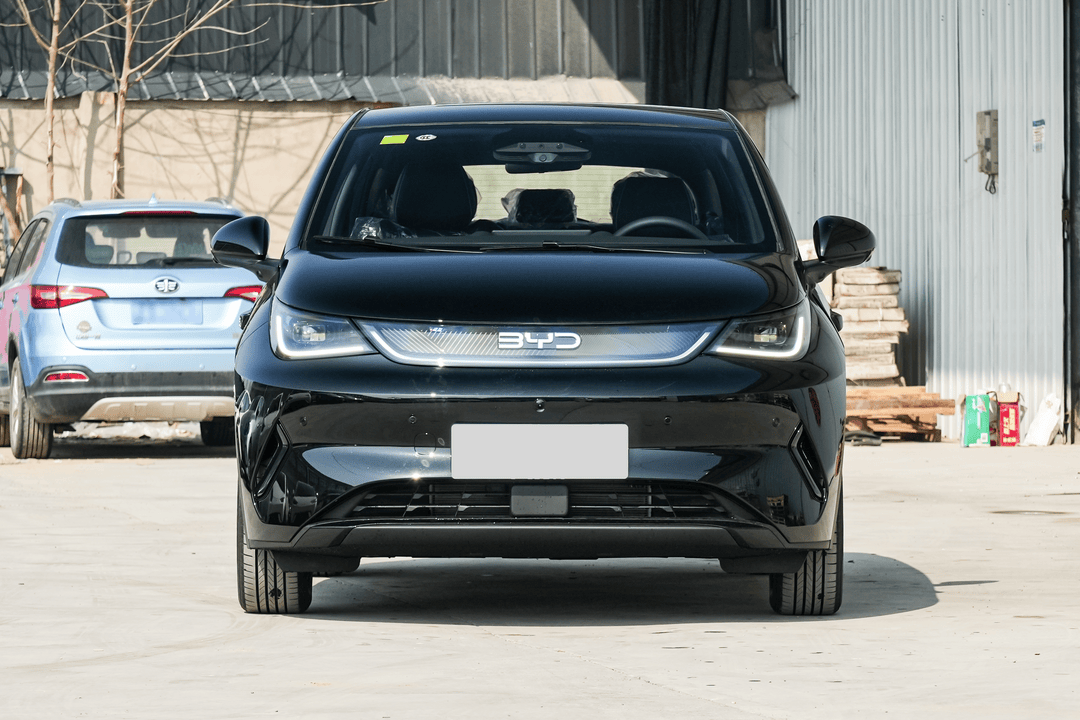 2025 BYD Dolphin - Image 2