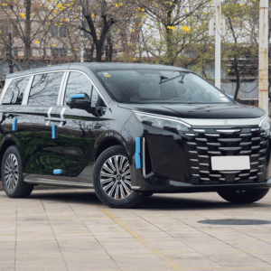 2025 BYD Xia DM-i