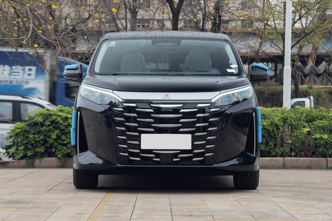 2025 BYD Xia DM-i - Image 2
