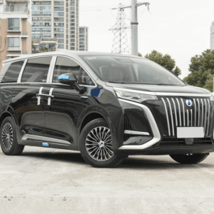 2025 Denza D9 DM-i