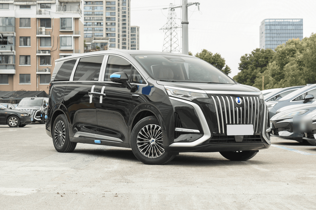 2025 Denza D9 DM-i