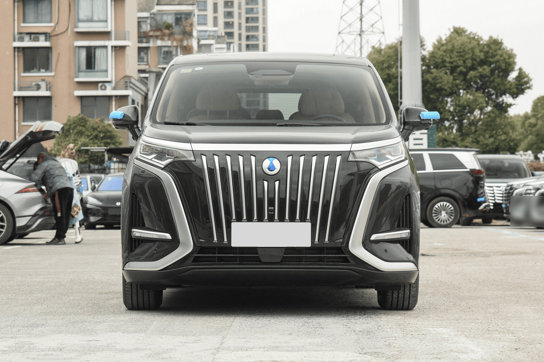2025 Denza D9 DM-i - Image 2