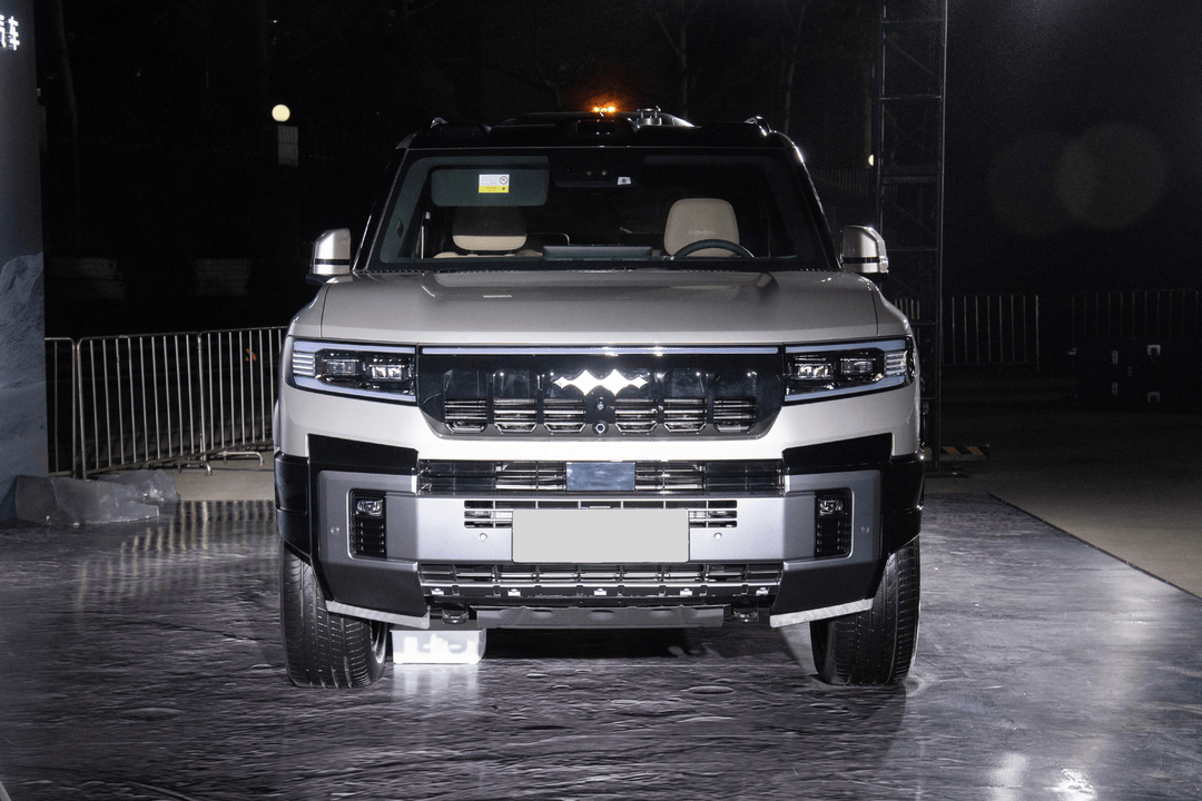 2025 Fang Cheng Bao Bao 8 - Image 2