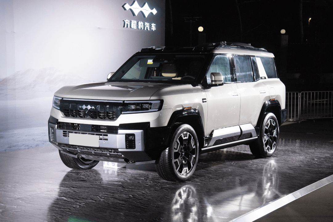 2025 Fang Cheng Bao Bao 8 - Image 3